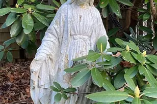 9002 Robinhood Dr, Kunkletown, PA 18058 - Photo 38