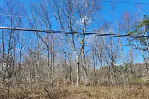 Lot D423 Panther Run Rd, Jim Thorpe, PA 18229 - Photo 1