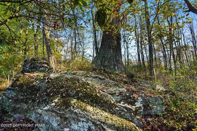  3 Stone Tree Drive, Canadensis, PA 18325 - Photo 20
