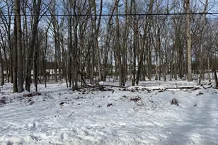 Lot 139Lan Willow Dr, Jim Thorpe, PA 18229 - Photo 1