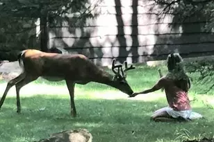 151 S Lake Dr, Lake Harmony, PA 18624 - Photo 100