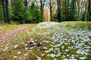 614 Graystones Jeras Rd Lot Av-4, Albrightsville, PA 18210 - Photo 2