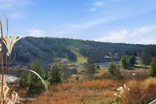 54 Doe Run, Lake Harmony, PA 18624 - Photo 64