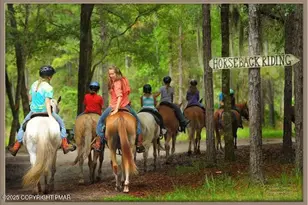 147 Dogwood Terrace, Albrightsville, PA 18210 - Photo 90