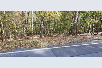  Lot 8 Sec Decker Road, Bushkill, PA 18324 - Photo 6