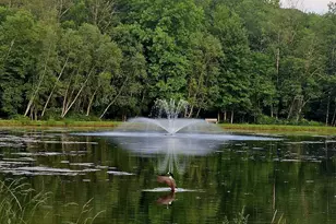 6298 Decker Rd, Bushkill, PA 18324 - Photo 46