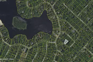 113 Netcong Cir, Pocono Lake, PA 18347 - Photo 48