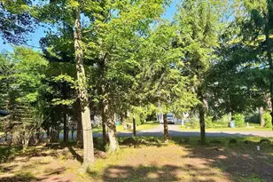 4517 Briarcliff Terrace, Tobyhanna, PA 18466 - Photo 16