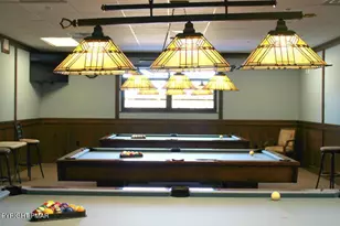 111 Oswayo Dr, Pocono Lake, PA 18347 - Photo 70