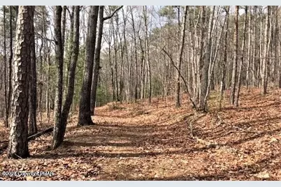  407 Pine Tree, Albrightsville, PA 18210 - Photo 4