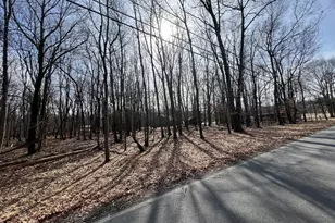 503A Woodland Rd, Jim Thorpe, PA 18229 - Photo 2