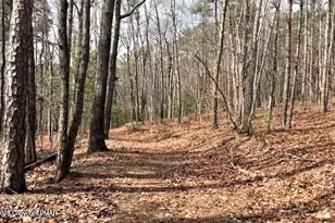 407 Pinetree Rd, Albrightsville, PA 18210 - Photo 1