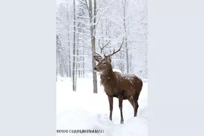  406 Deerfoot Lane, Albrightsville, PA 18210 - Photo 2