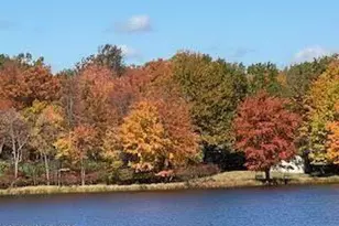 407 Sassafras Rd, Albrightsville, PA 18210 - Photo 10