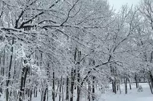 407 Sassafras Rd, Albrightsville, PA 18210 - Photo 1