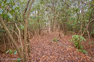 1251 Hunter Ln, Long Pond, PA 18334 - Photo 18