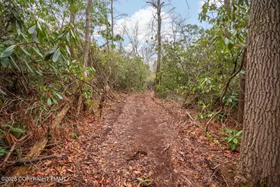  1251 Hunter Lane, Long Pond, PA 18334 - Photo 34