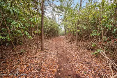  1251 Hunter Lane, Long Pond, PA 18334 - Photo 36