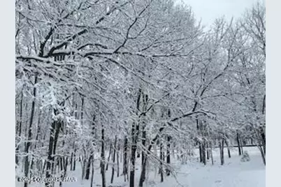  Spring Court, Bushkill, PA 18324 - Photo 2