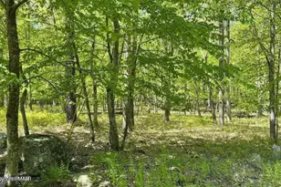 3144L Spring Ct, Bushkill, PA 18324 - Photo 6