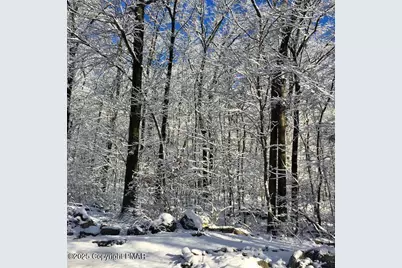  3144L Spring Court, Bushkill, PA 18324 - Photo 16