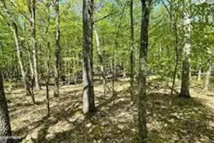 3144L Spring Ct, Bushkill, PA 18324 - Photo 6