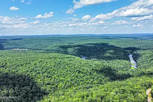 69 Telemark, Lake Harmony, PA 18624 - Photo 50