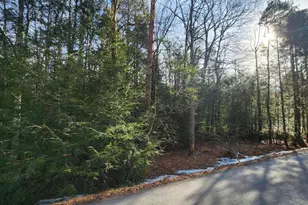 Lot Ev378 Towamensing Trail, Albrightsville, PA 18210 - Photo 4