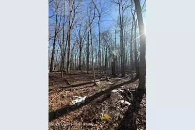  803 Selig Rd, Pocono Lake, PA 18347 - Photo 10