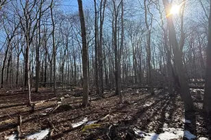 803 Selig Rd, Pocono Lake, PA 18347 - Photo 1