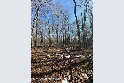  803 Selig Rd, Pocono Lake, PA 18347 - Photo 6