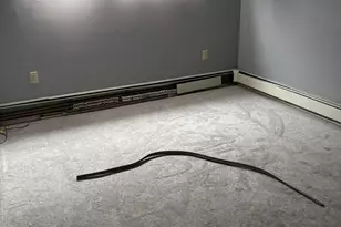 775 Silver Spring Blvd, Kunkletown, PA 18058 - Photo 12