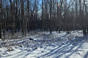 Ep2106 Old Stage Rd, Albrightsville, PA 18210 - Photo 1