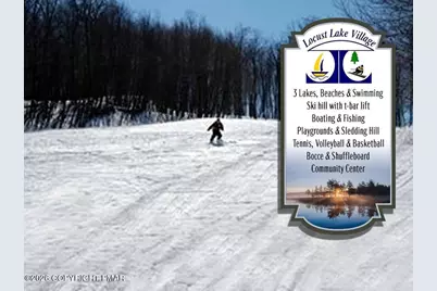  1428 Lake Lane, Pocono Lake, PA 18347 - Photo 44