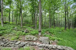 259 LC Larsen Dr, Covington Township, PA 18424 - Photo 6