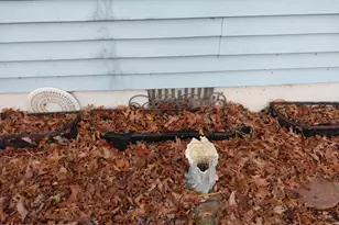 2108 Fox Rd, Bushkill, PA 18324 - Photo 76