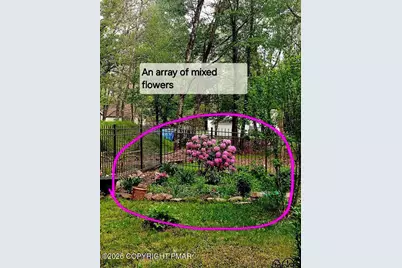  46 Poplar Drive, Albrightsville, PA 18210 - Photo 34