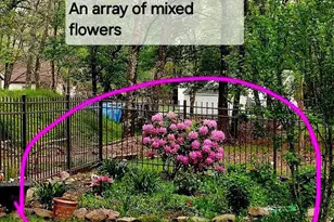 46 Poplar Dr, Albrightsville, PA 18210 - Photo 34