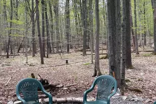 95 W Creek View Dr, Covington Township, PA 18424 - Photo 10