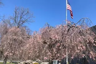 546 Dogwood Ln, Moscow, PA 18444 - Photo 14