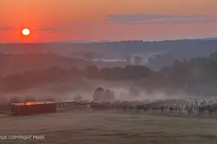 1212 Burger Hollow Rd, Effort, PA 18330 - Photo 88