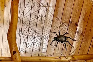 7639 Lake Shore Dr, Pocono Lake, PA 18347 - Photo 62