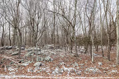  Lot 325 Blairwood Lane, Albrightsville, PA 18210 - Photo 10