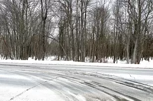 Lot 4 State Rte 115, Blakeslee, PA 18610 - Photo 1