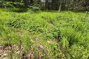 Dorshimer Ave, Blakeslee, PA 18610 - Photo 1