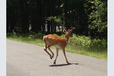  C1700 Old Stage Road, Albrightsville, PA 18210 - Photo 1