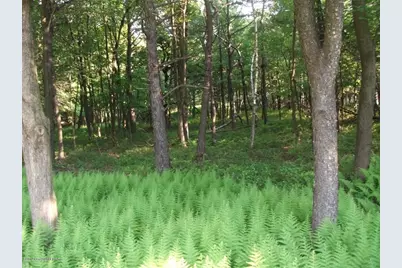  Lot Ev 961 Stony Mountain Road, Albrightsville, PA 18210 - Photo 16