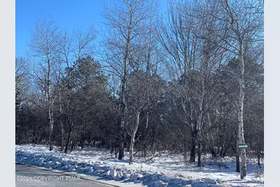  Lr 45086 87 Road, Blakeslee, PA 18610 - Photo 6