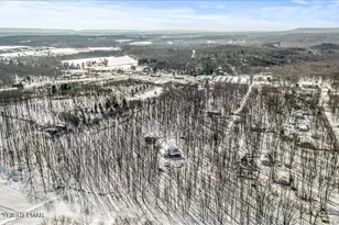 140 Alcott Ln, Effort, PA 18330 - Photo 60