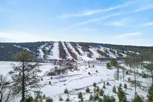 82 Doe Run, Lake Harmony, PA 18624 - Photo 36